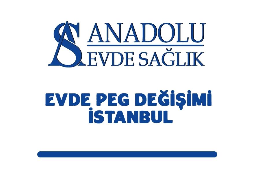 Evde Peg Değişimi İstanbul