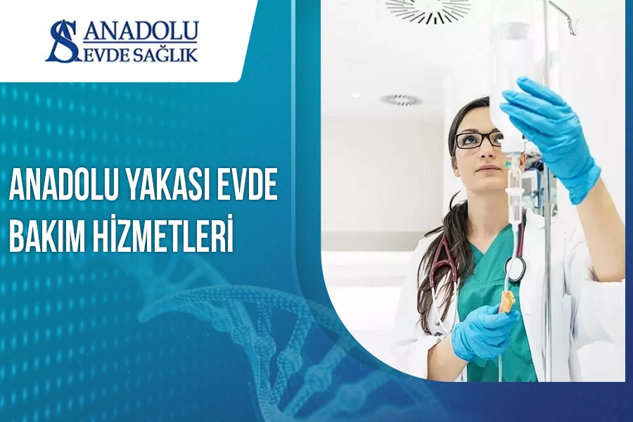 anadoluevdesaglik