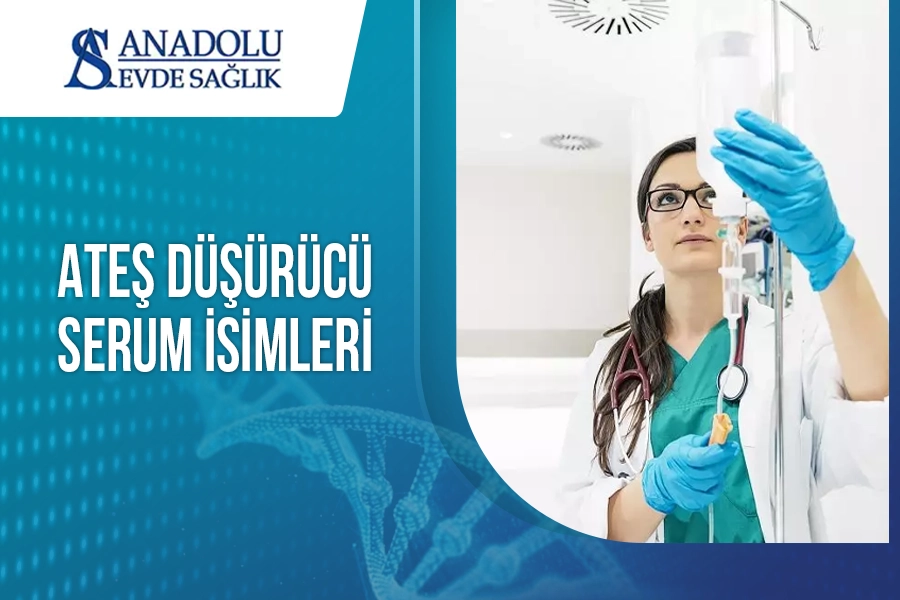 anadoluevdesaglik