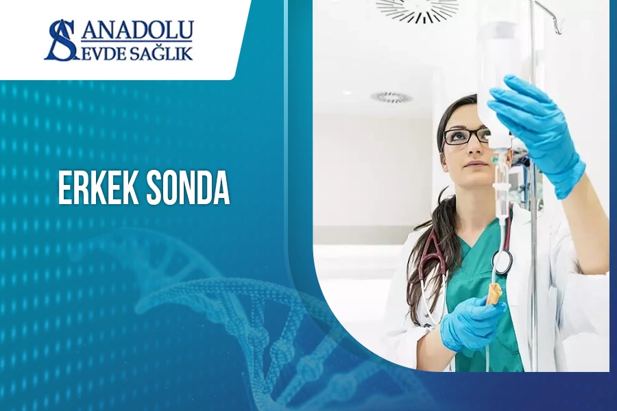 Erkek Sonda