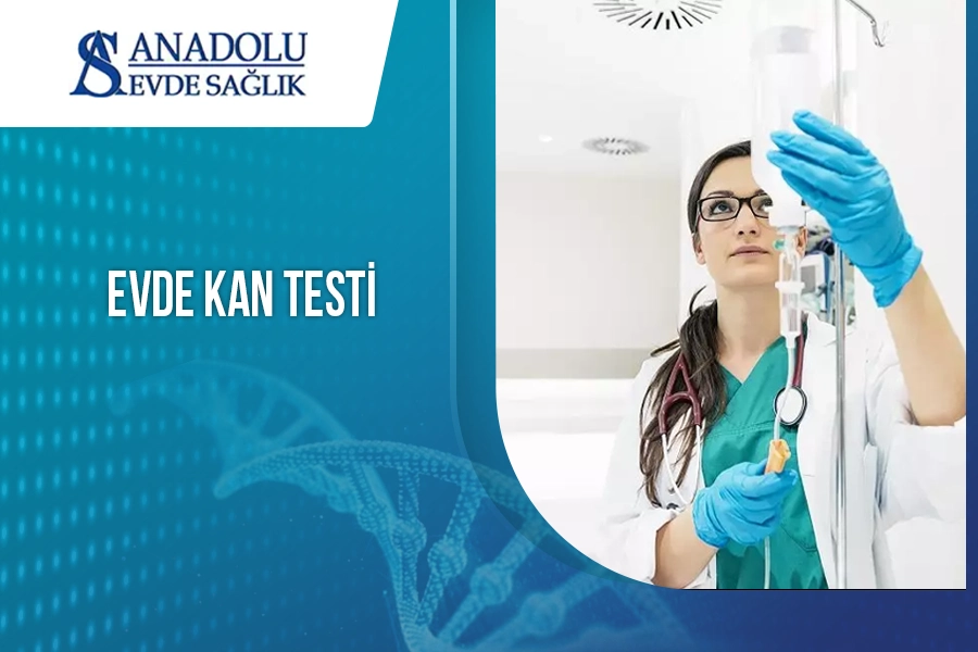 anadoluevdesaglik