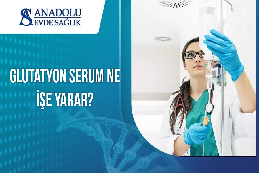 anadoluevdesaglik
