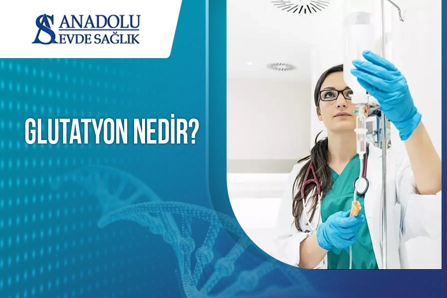 anadoluevdesaglik