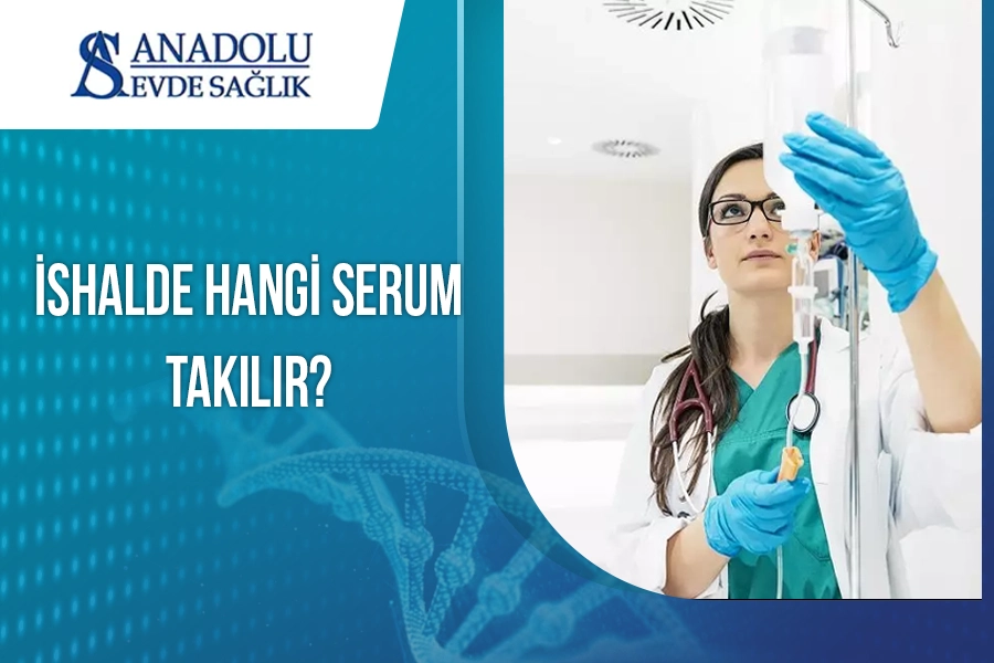 anadoluevdesaglik