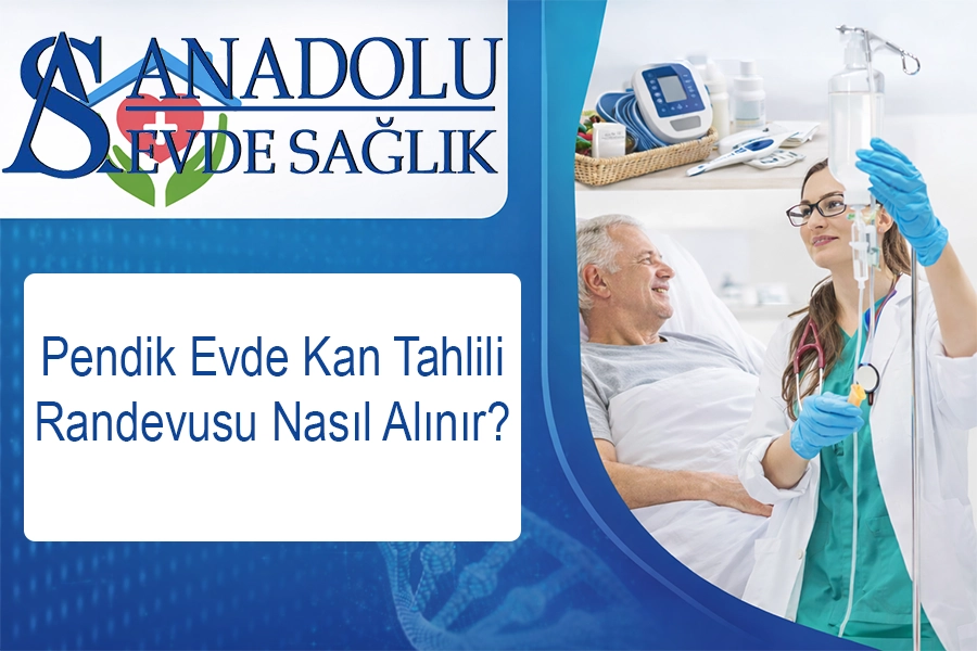 Pendik Evde Kan Tahlili Randevusu Nasıl Alınır